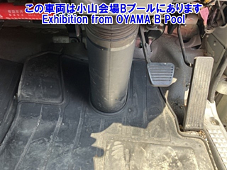 ISUZU ELF 2019