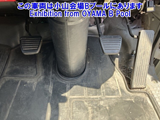 ISUZU ELF 2019