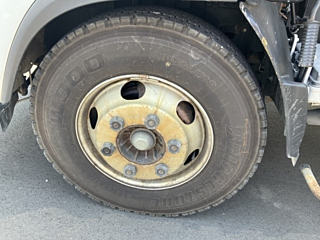 ISUZU ELF 2019