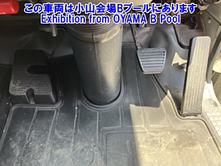 ISUZU ELF 2019