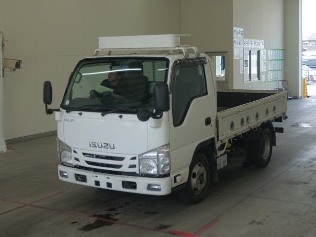 ISUZU ELF 2019