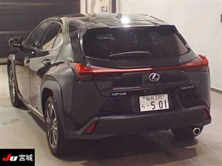 LEXUS UX 2019