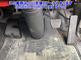 ISUZU ELF 2019