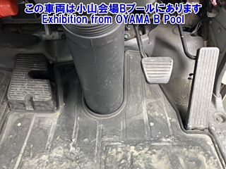 ISUZU ELF 2020
