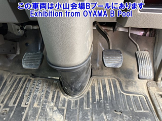 NISSAN ATLAS 2020