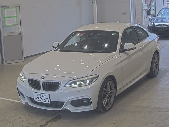 BMW 2 SERIES 2019