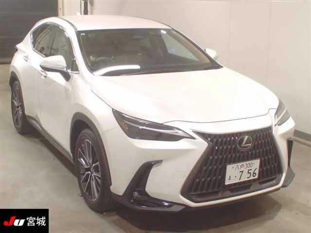LEXUS NX 2023