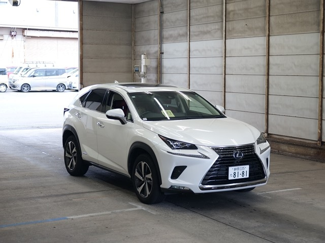 LEXUS NX 2019
