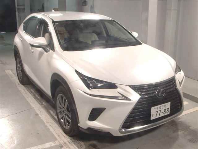 LEXUS NX 2019