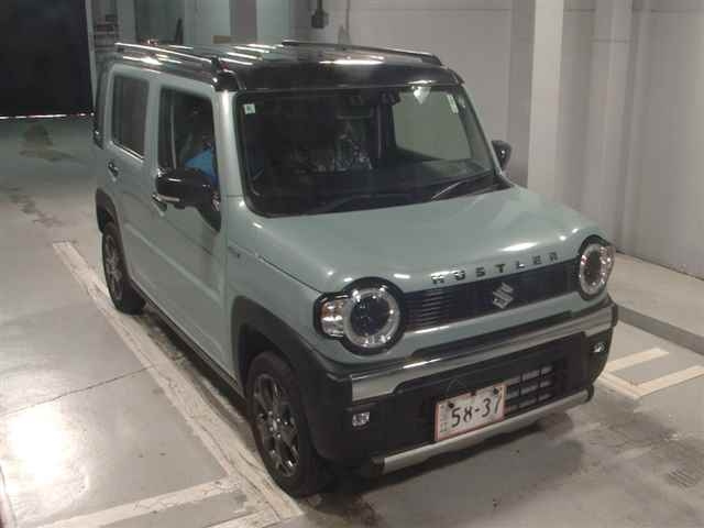 SUZUKI HUSTLER 2024