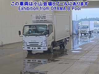 ISUZU ELF 2019