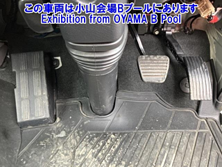 NISSAN ATLAS 2020