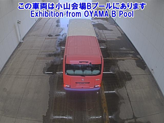TOYOTA COASTER 2020