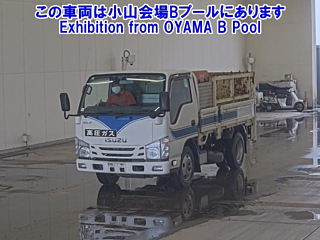 ISUZU ELF 2019