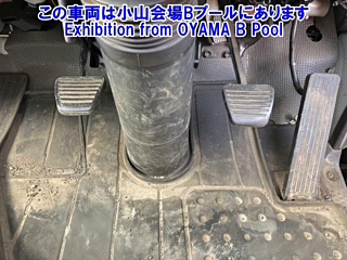 ISUZU ELF 2019