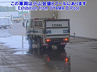 ISUZU ELF 2019