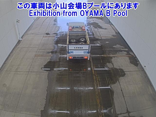 ISUZU ELF 2019