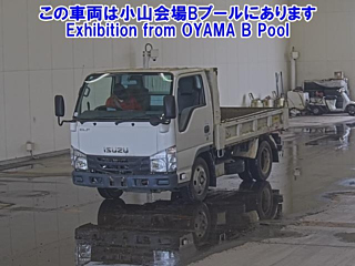 ISUZU ELF 2019