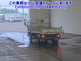 ISUZU ELF 2019