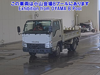 ISUZU ELF 2019