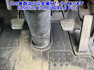 ISUZU ELF 2019