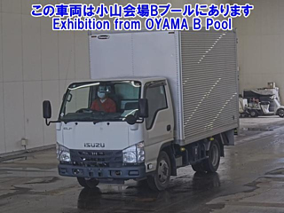 ISUZU ELF 2019