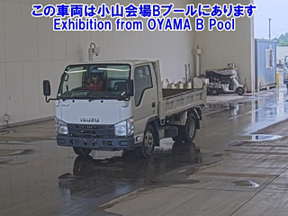 ISUZU ELF 2019