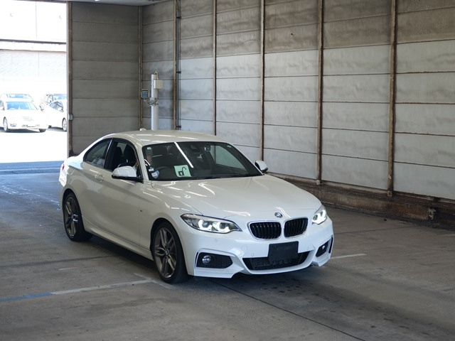 BMW 2 SERIES 2019