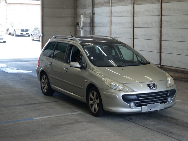 PEUGEOT 307 2008