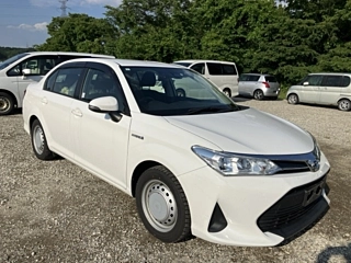 TOYOTA COROLLA AXIO 2019