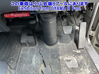 ISUZU ELF 2019