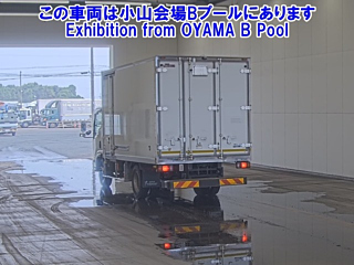 ISUZU ELF 2019
