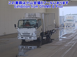 ISUZU ELF 2019