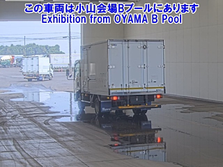 ISUZU ELF 2019