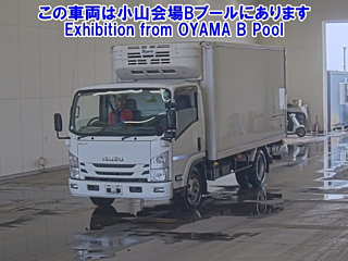 ISUZU ELF 2019
