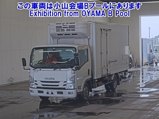ISUZU ELF 2020