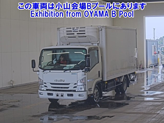 ISUZU ELF 2019