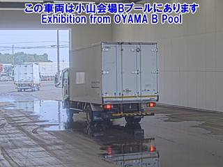 ISUZU ELF 2019