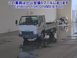 ISUZU ELF 2019