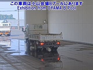 ISUZU ELF 2019