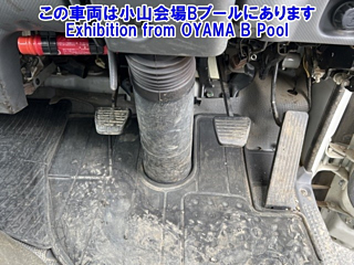 ISUZU ELF 2018