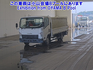 ISUZU ELF 2018
