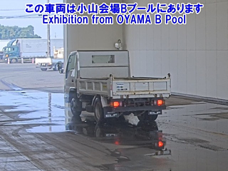ISUZU ELF 2019