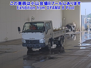 ISUZU ELF 2019