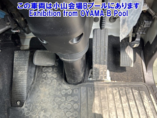 MITSUBISHI FUSO FIGHTER 2021
