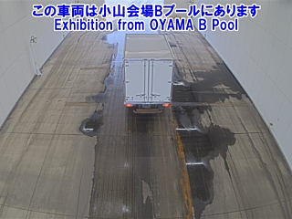 TOYOTA TOYOACE 2019