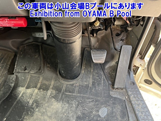 ISUZU ELF 2020