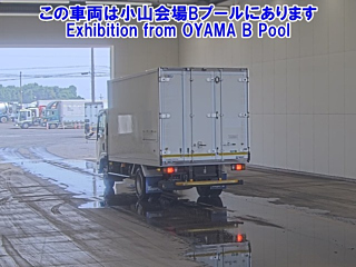 ISUZU ELF 2019