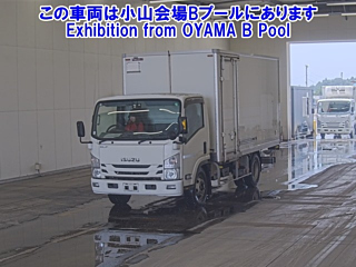 ISUZU ELF 2019