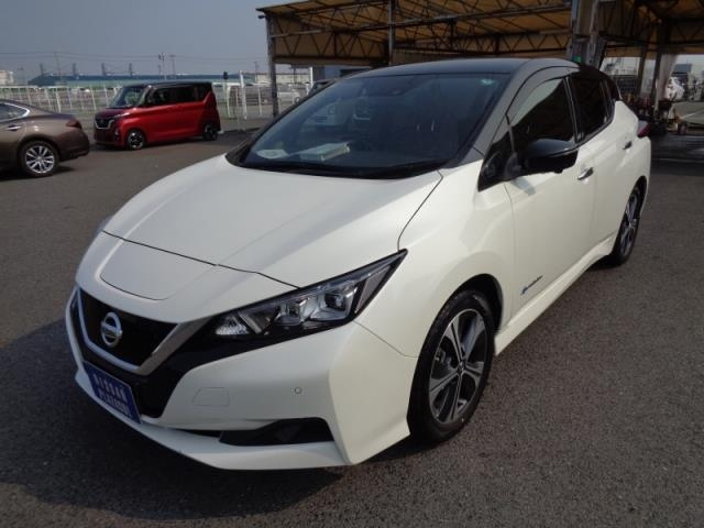 NISSAN LEAF 2020